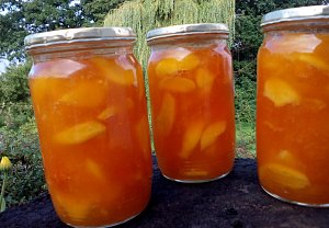 Broskvovo-meruňková marmeláda Broskvovo-meruňková marmeláda